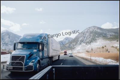 Ibs Cargo Logistic